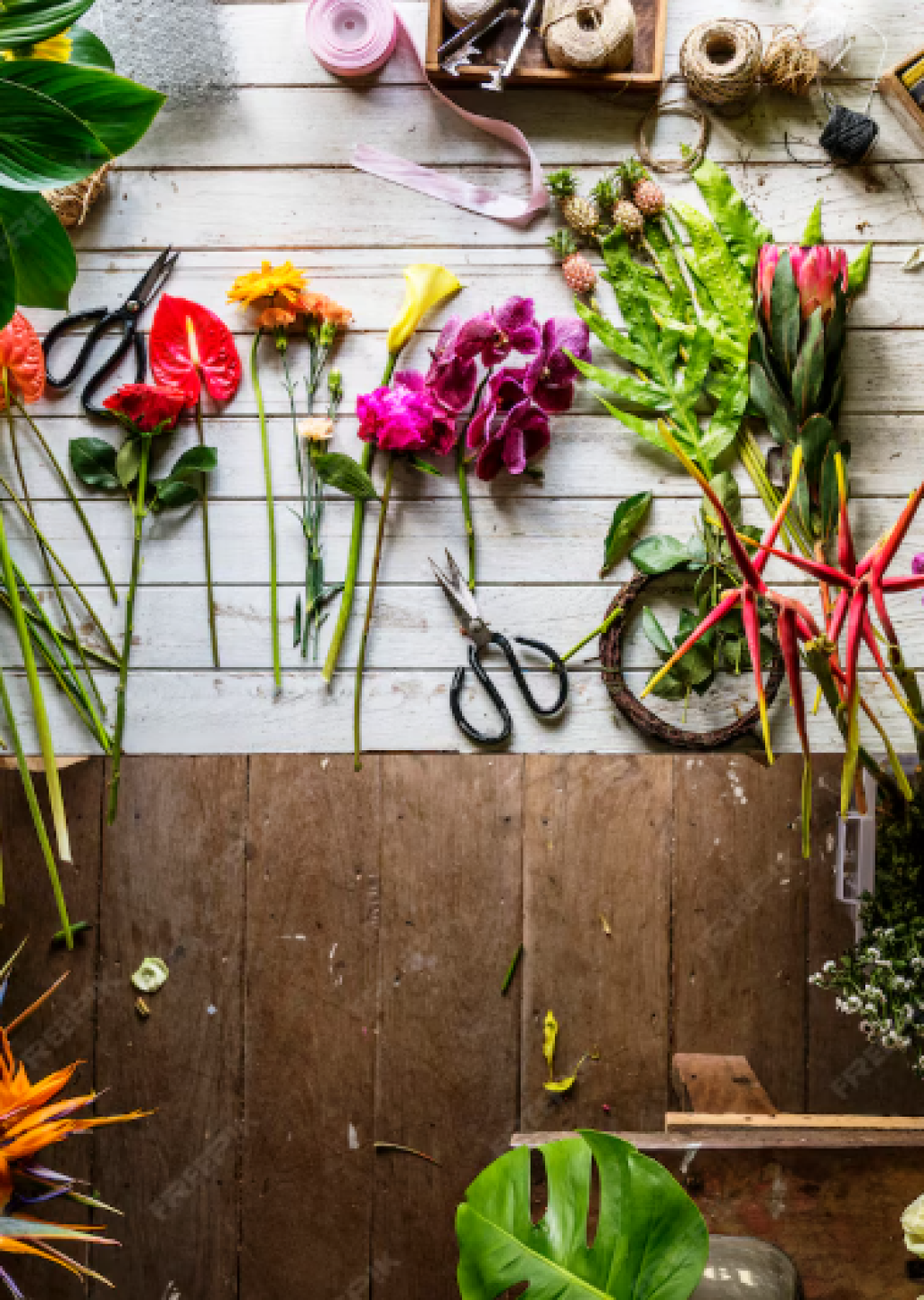 STOCK PHOTO FLOWER CARE